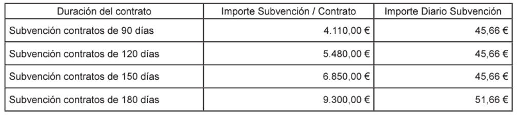 Cuantía de la subvención - Línea 4