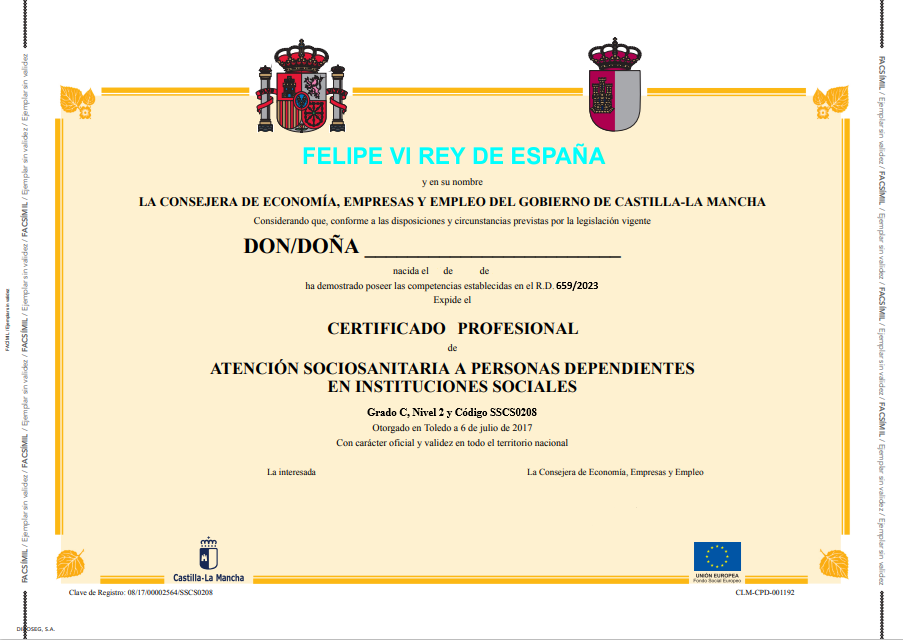 Modelo de certificado profesional